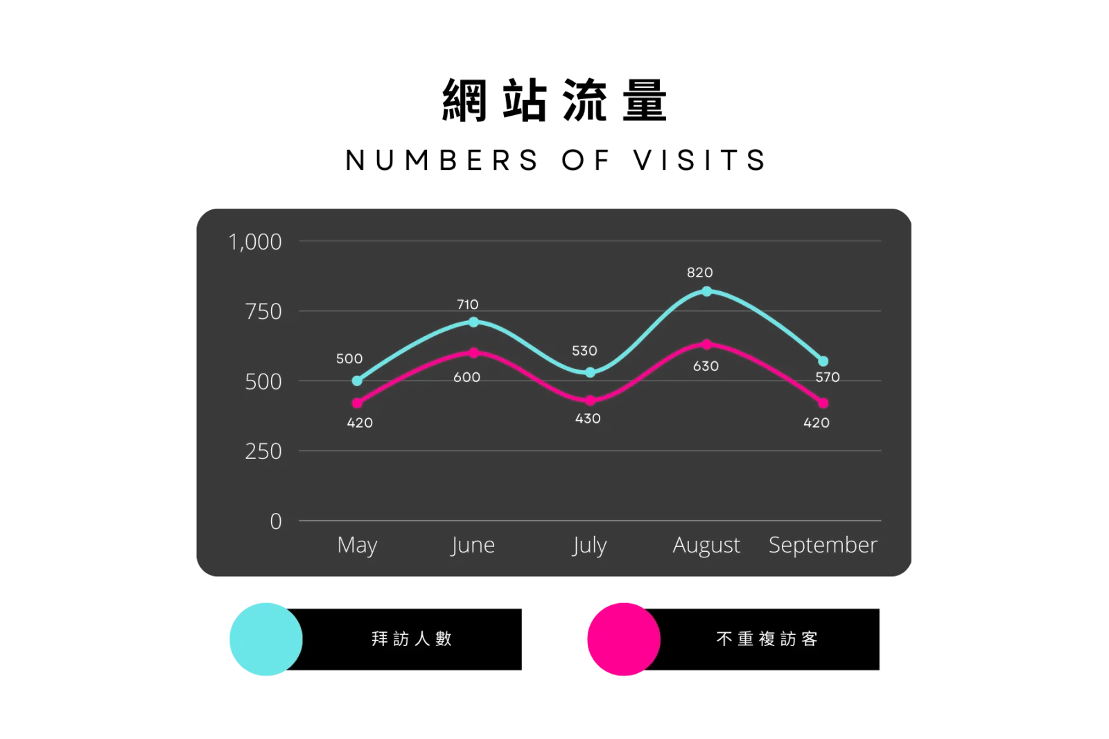 網站無流量